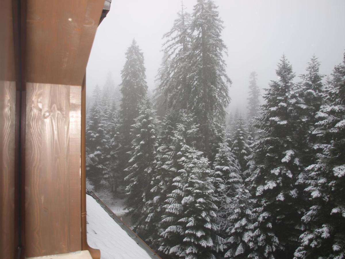 Borovets Forest View מראה חיצוני תמונה