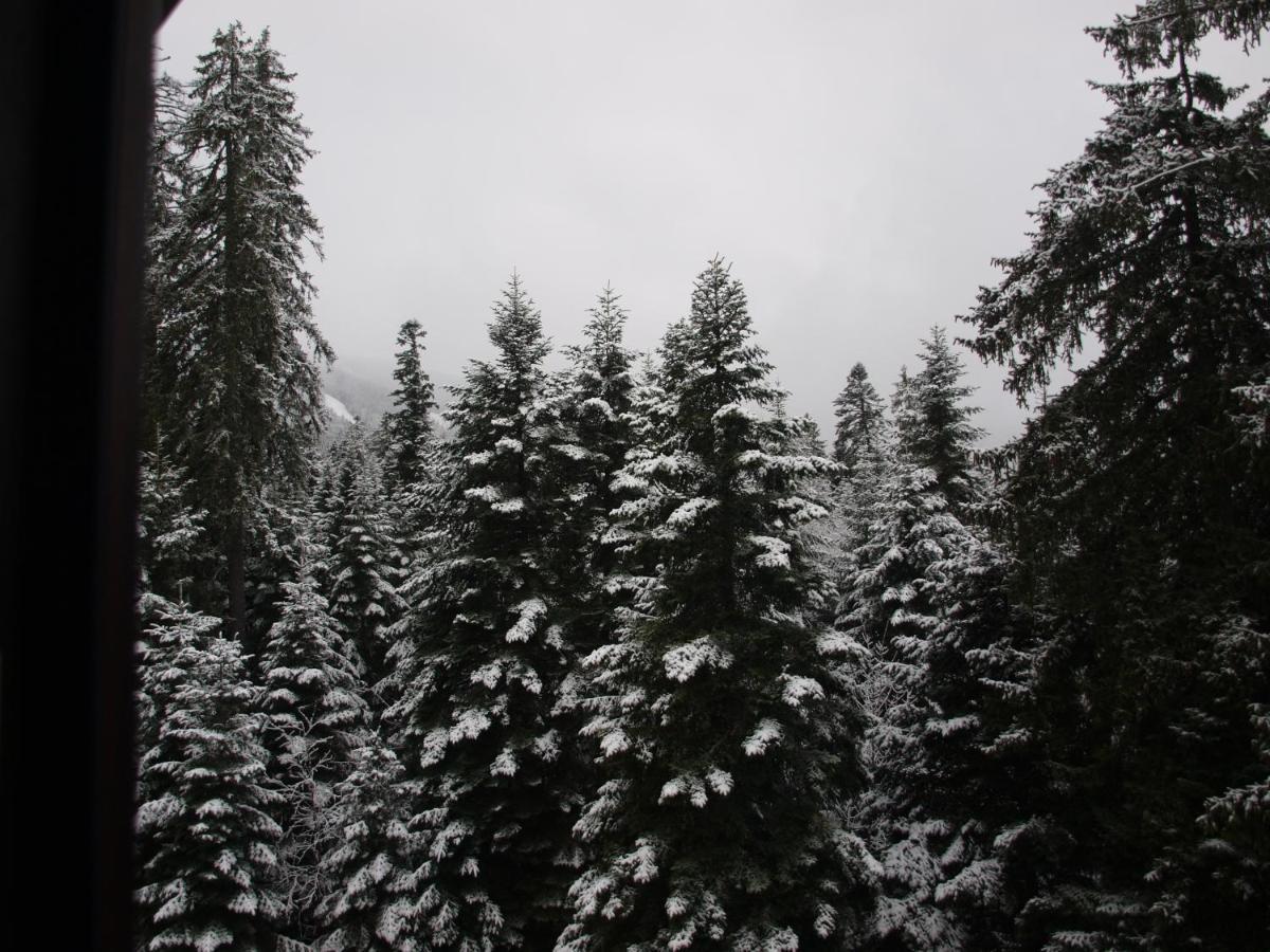Borovets Forest View מראה חיצוני תמונה