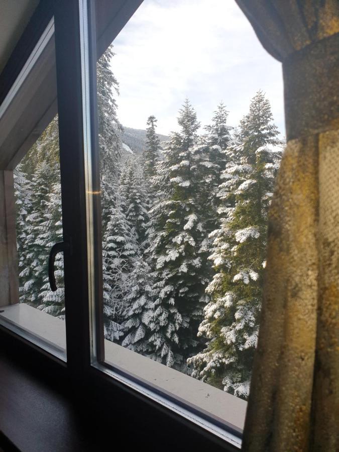 Borovets Forest View מראה חיצוני תמונה